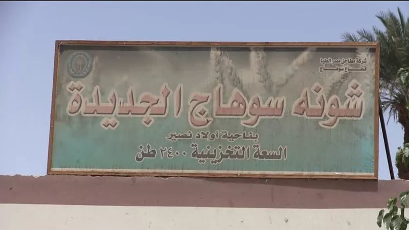 سوهاج تكسر حاجز الـ 100 ألف طن قمح.. والمحافظ يشدد على جودة 