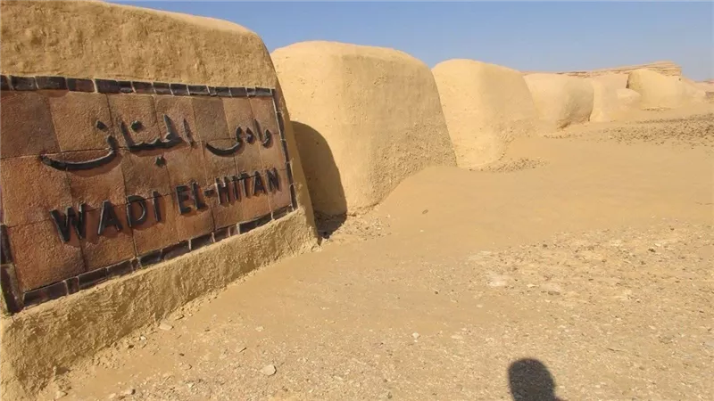  لمدة 5 سنوات..منال عوض تعلن تجديد إدراج وادي الحيتان بالقائمة الخضراء للحماية