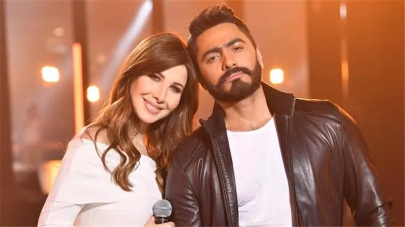 صدمة في الوسط الفني.. نجوم يخسرون الملايين من بينهم نانسي عجرم و تامر حسني