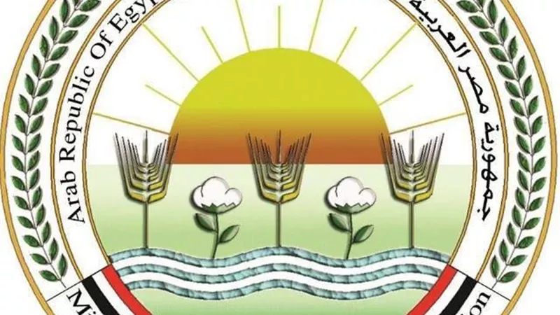 غداً.. الزراعة تبدأ صرف أسمدة المحاصيل الصيفية بإجراءات رقابية صارمة