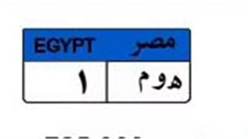 بمشاركة 4 مزايدين.. سعر لوحة «هـ و م 1» يصل 725 ألف جنيه قبل ساعات من الحسم