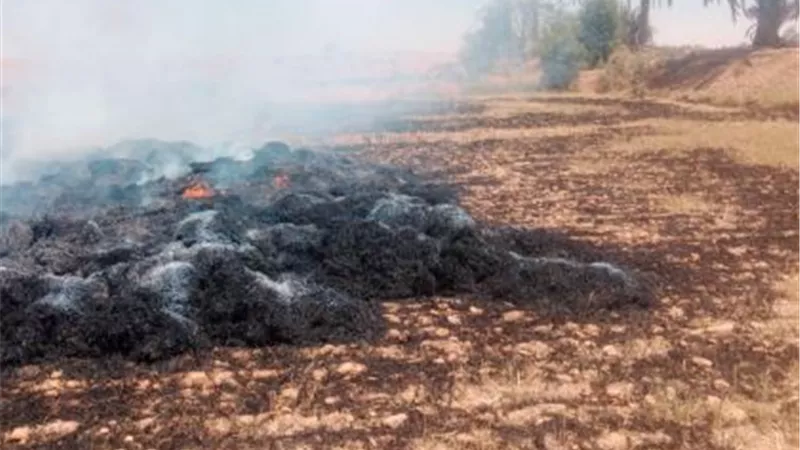 حريق يلتهم 3 أفدنة قمح بمشروع وادي الصعايدة في إدفو بأسوان