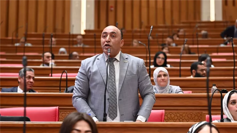 نائب بالبرلمان يحذر: النساء المعيلات في الصعيد الأكثر تضررًا