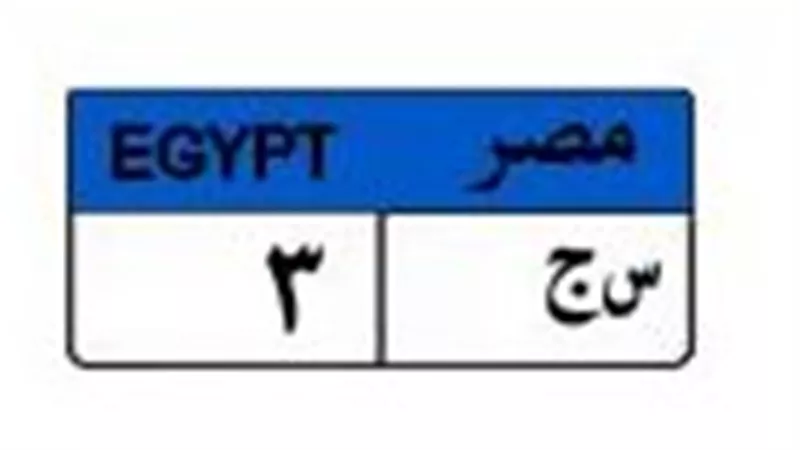 لعشاق التميز.. لوحة «س ج 3» تسجل نصف مليون جنيه بمزاد المرور