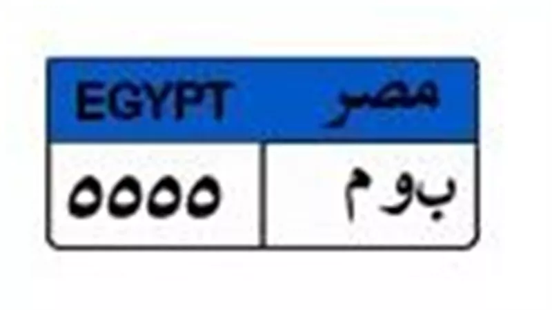 صراع رباعي يشعل مزاد اللوحة «ب و م 5555» بـ 650 ألف جنيه