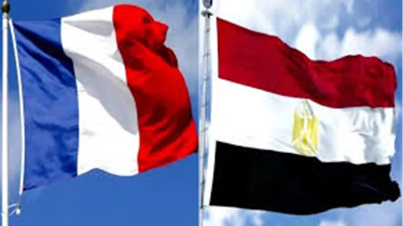 اتفاقيات وبرامج مشتركة.. تفاصيل التعاون المصري الفرنسي في مجال التعليم 