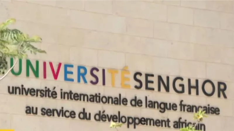 تعاون فرانكفوني ومقاربة مصرية لإفريقيا.. خبير يكشف دلالات افتتاح جامعة 
