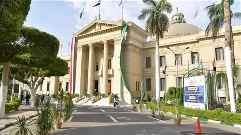 الجامعات الدولية في مصر.. ركيزة جديدة لبناء تعليم عالمي واقتصاد معرفي تنافسي