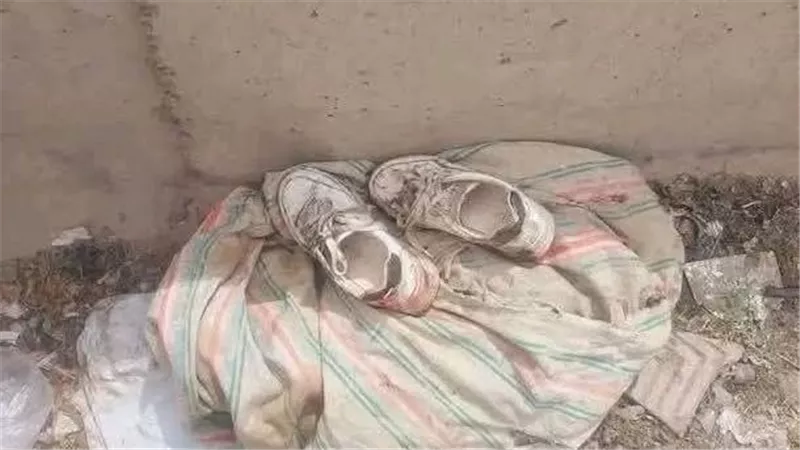 مصرع طالبة من الشرقية أسفل قطار بمحطة تفهنا الأشراف