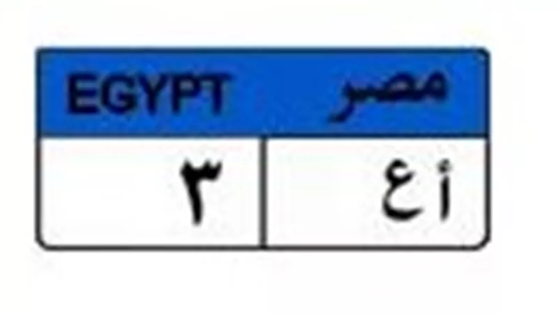 وصلت لـ 600 ألف جنيه.. صراع بين 3 مزايدين لاقتناص لوحة «أ ع 3»