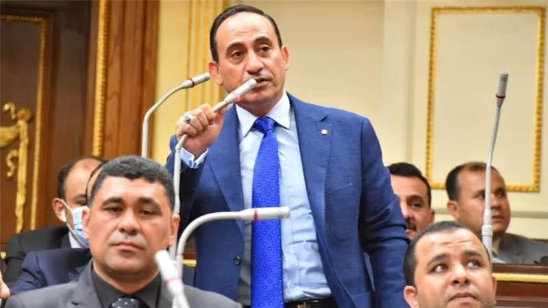 عضو بمجلس النواب يطالب الحكومة بمواجهة الكلاب الضالة فورًا