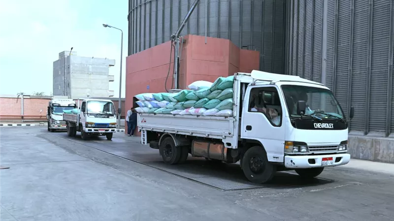البحيرة تقترب من تحقيق المستهدف.. 116 ألف طن قمح في الصوامع حتى اليوم