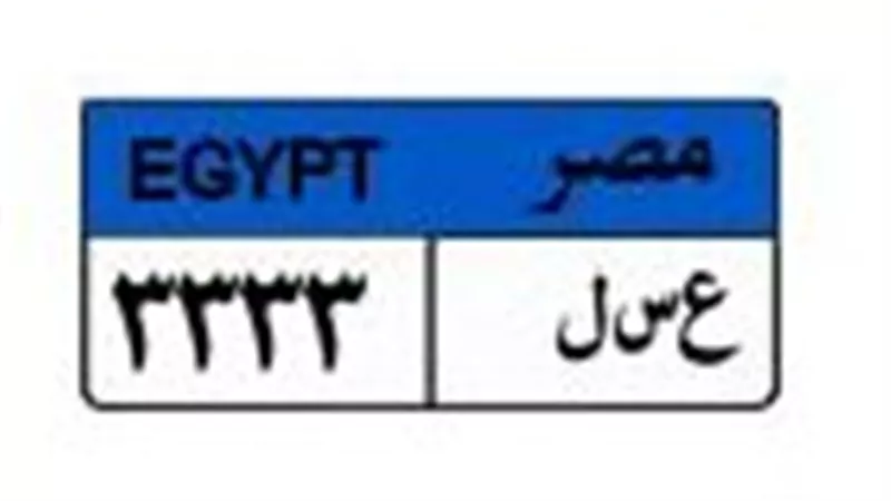 قبل غلق المزاد.. لوحة «ع س ل3333» تقترب من ربع مليون جنيه