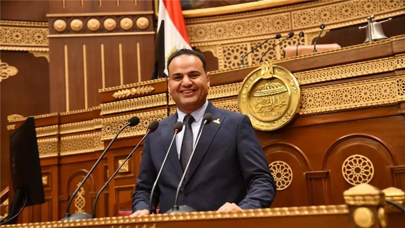  الحسيني الليثي: العدادات الكودية من أداة تقنين الأوضاع لعبء يرهق المواطن 