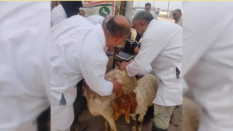 ضمن المبادرة الرئاسية 