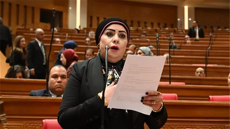 «تعليم النواب»: الشراكة مع فرنسا تعزز البحث العلمي والتبادل الأكاديمي|خاص