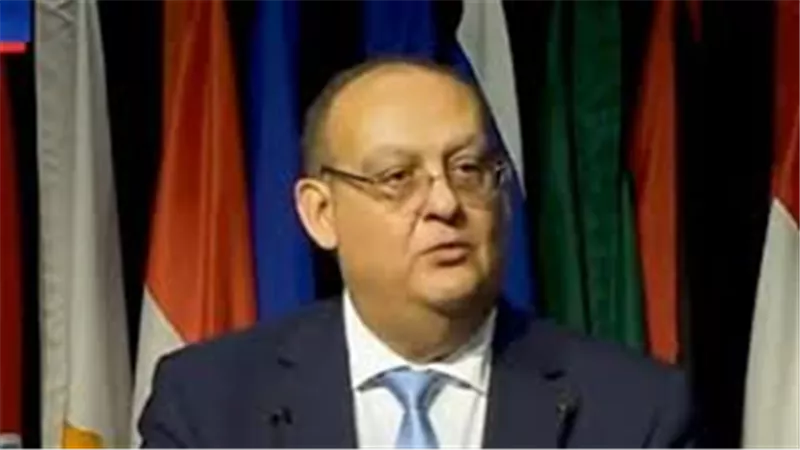 مساعد وزير الخارجية: تصديق فرنسا على قانون إعادة الآثار المهربة خطوة هامة