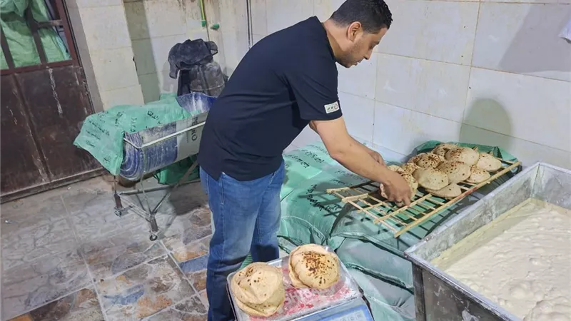 محافظ الغربية يُكثّف الرقابة على منظومة الخبز المدعم بحملات موسعة