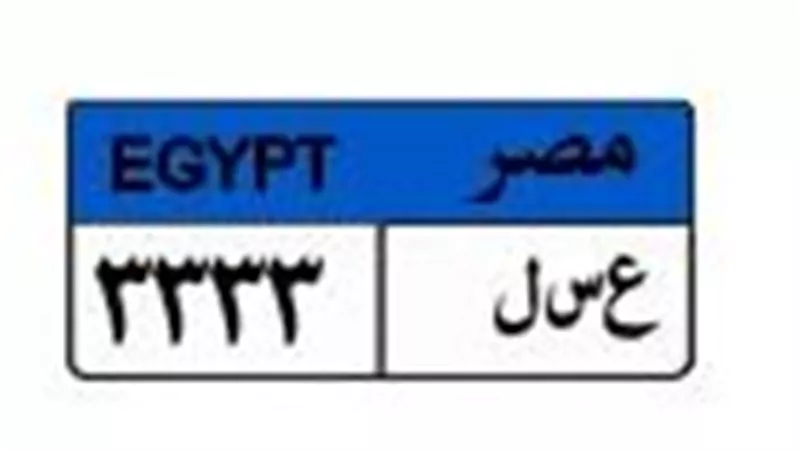 صراع الأثرياء.. 8 متنافسين على لوحة «عسل 3333» بمبلغ 550 ألف جنيه