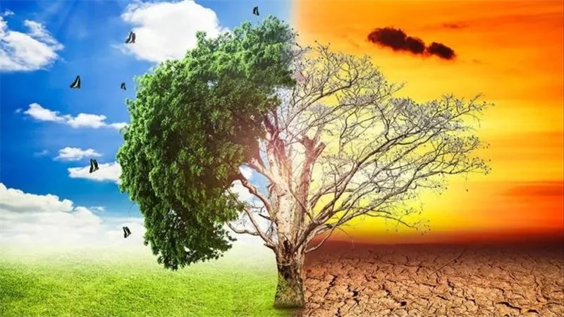 قبل موعده الرسمي| مصر تدخل مرحلة الصيف المناخي وتحذير للمواطنين من ضربات الشمس