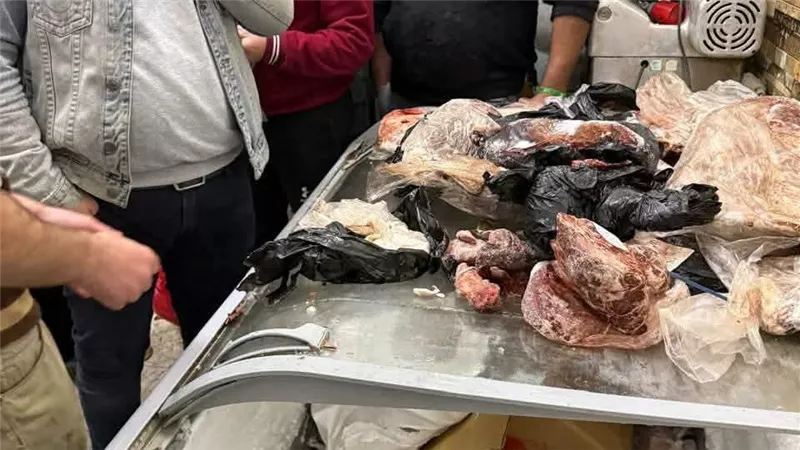 قبل عيد الأضحى المبارك.. تموين بورسعيد ضبط لحوم وكبدة فاسدة قبل بيعها بالأسواق