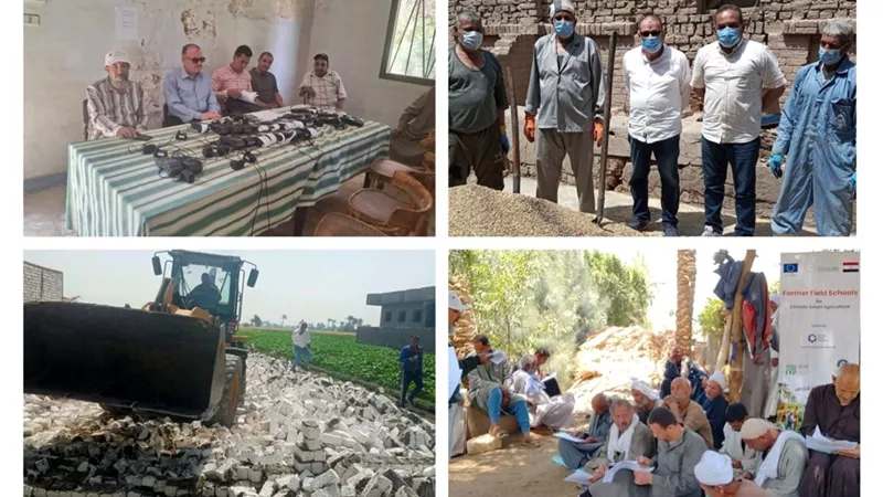 حصاد القمح وإزالة التعديات.. أبرز جهود زراعة بني سويف خلال أسبوع