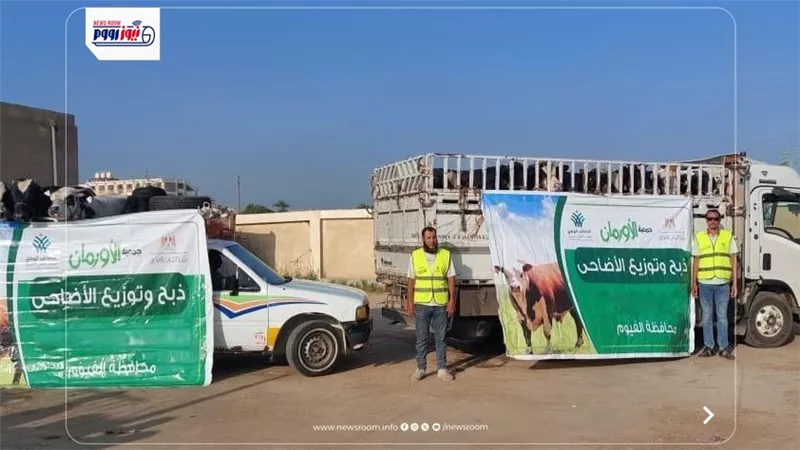 خلال عيد الأضحى.. 75 ألف كيلو لحوم أضاحى و75 عجل بلدى للاولى بالرعاية بالفيوم 
