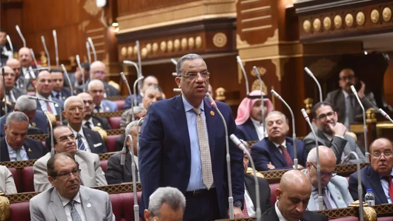 محمود مسلم عن المدارس اليابانية: من أنجح المبادرات التي رعاها الرئيس السيسي