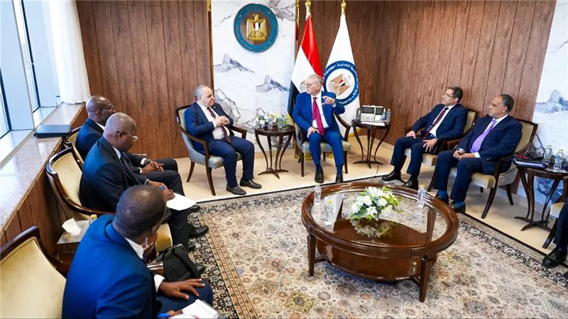 بدوي يبحث مع منظمة منتجي البترول الأفارقة تعزيز التكامل بقطاعي الطاقة والغاز