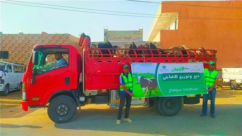 خلال عيد الأضحى.. توزيع 50 ألف كيلو لحوم و50 عجل بلدي على الأسر الفقيرة بسوهاج