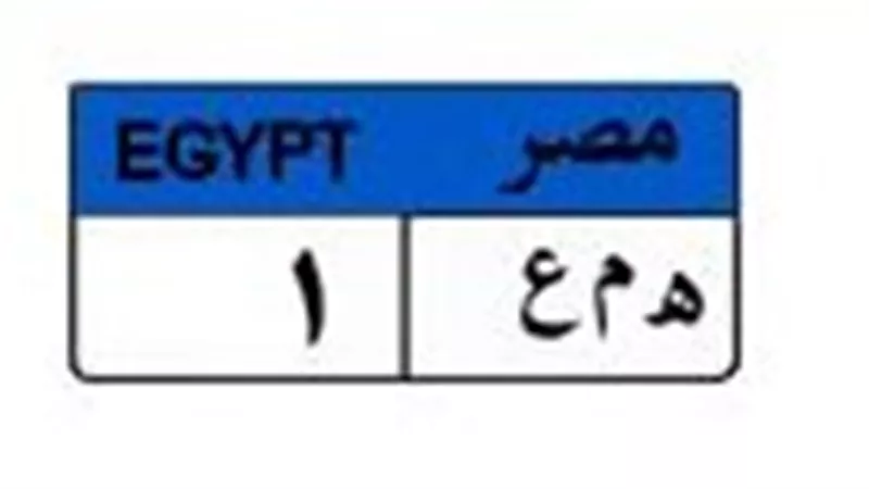 غدا.. إغلاق المزاد على لوحة السيارة «هـ م ع 1» بـ 475 ألف جنيه