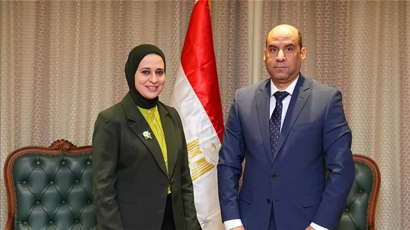 حسن رداد ونائبة وزير الخارجية يبحثان فتح أسواق عمل للكوادر المصرية بالخارج