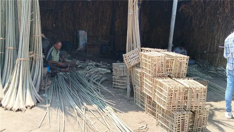 محافظ القليوبية يتابع جهود هيئة تنشيط السياحة في تصوير المعالم الأثرية 