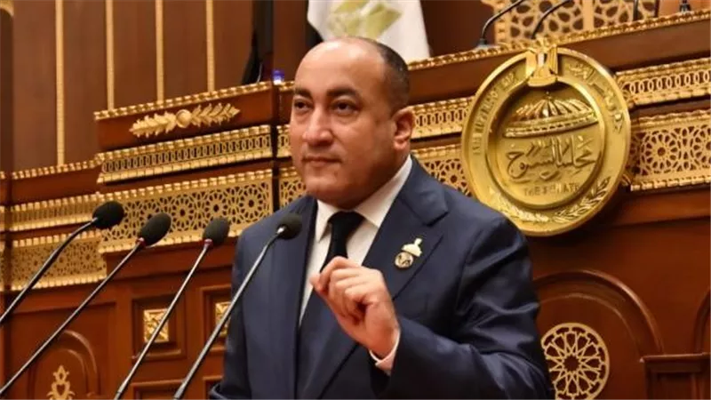 عمرو رشاد: كلمة الرئيس السيسي بنيروبي رسمت ملامح أفريقيا الجديدة
