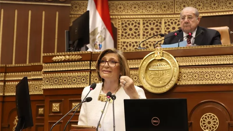 النائبة هبة شاروبيم تستعرض طلبًا بشأن تطوير المطارات أمام مجلس الشيوخ