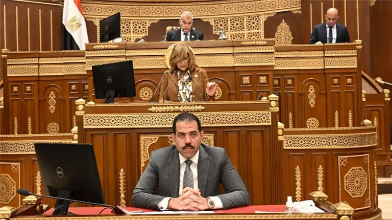 إيهاب زكريا أمام الشيوخ: «مصر للطيران» تواجه تحديات بسبب المنافسة الإقليمية 