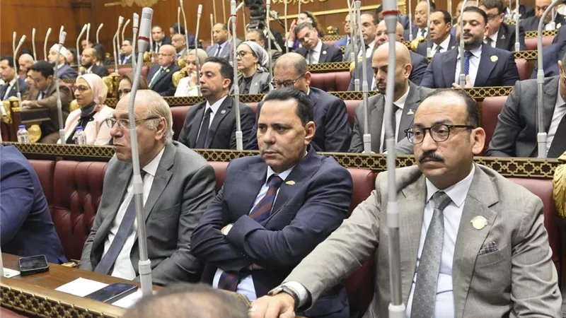 خارجية الشيوخ تناقش مقترح «إعلان الأعوام المصرية نحو إفريقيا 2027–2030