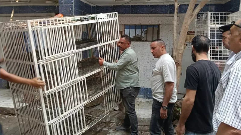 محافظة الجيزة تستجيب للمواطنين وتشن حملات مكبرة لرفع الإشغالات بعدد من الشوارع