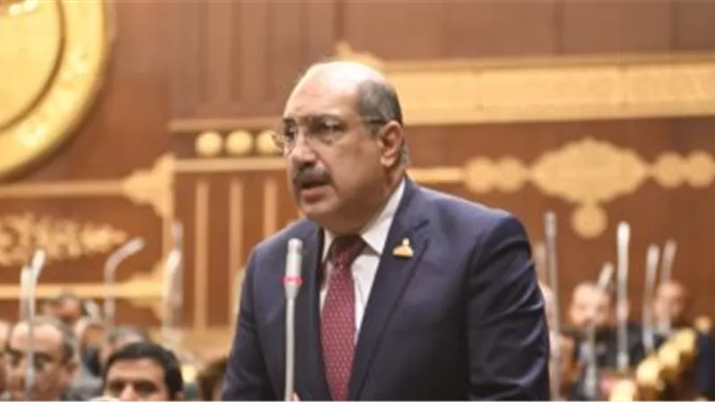 النائب إيهاب وهبة: وزارة الطيران محملة بإرث ثقيل من العمالة الكثيفة