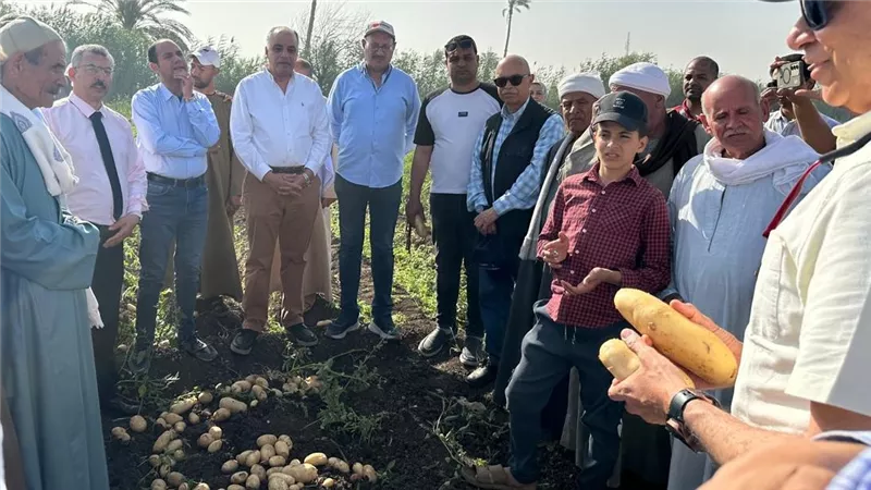 اتحاد منتجي ومصدري الحاصلات البستانية يتابع نتائج الأصناف الجديدة للبطاطس