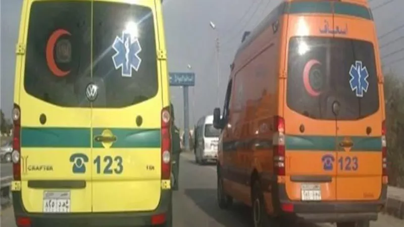 نهاية مأساوية لفتاة عشرينية بالبحيرة.. والأزمات النفسية وراء الواقعة