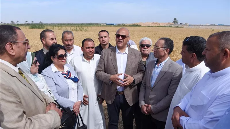محافظ الإسكندرية: تأمين القمح أولوية استراتيجية لدعم منظومة الأمن الغذائي