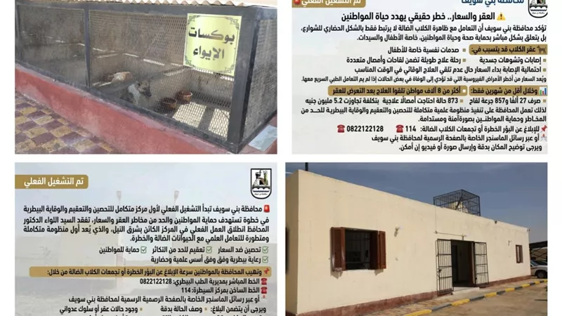 بنى سويف : دعوة للابلاغ البؤر الخطرة للكلاب ومركز متكامل للتعقيم والتحصين 