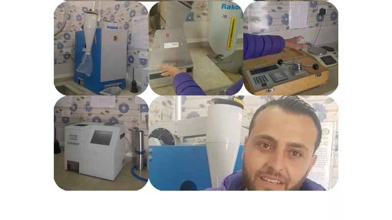 داخل صومعة العامرية.. كيف يتم اختيار حبة القمح السليمة في الإسكندرية؟