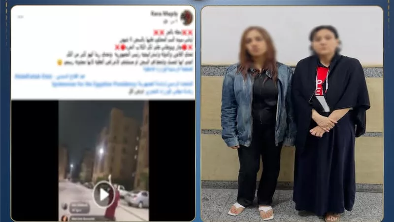 معركة الكلاب تنتهي في النيابة.. إخلاء سبيل «سيدة السم» ومصورة فيديو دجلة بالمز بكفالة