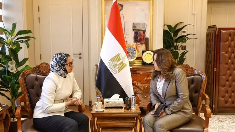 التنمية المحلية تتابع تنفيذ مشروعات خدمية بالوادي الجديد واستعدادات عيد الأضحى