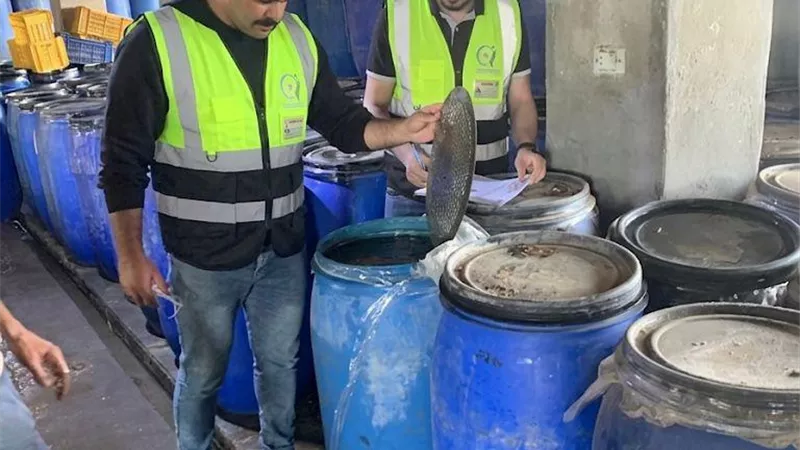 محافظ الغربية يتابع جهود هيئة سلامة الغذاء: ضبط 10 أطنان مخللات فاسدة