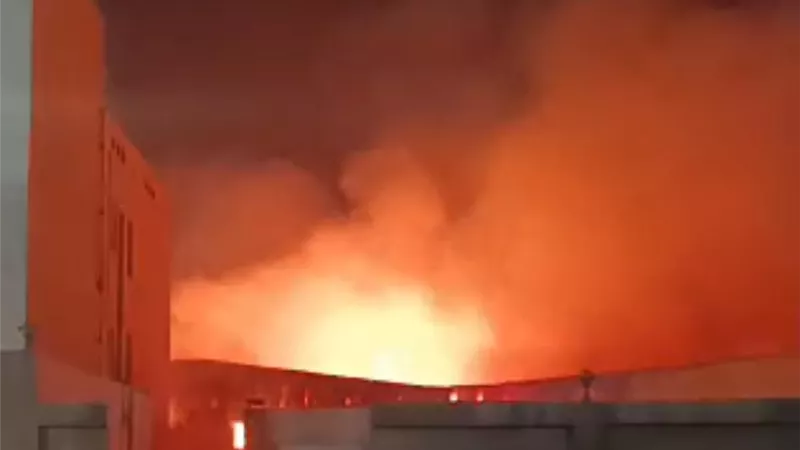 حريق داخل مخزن علف حيواني بالمنطقة الصينية في العين السخنة 