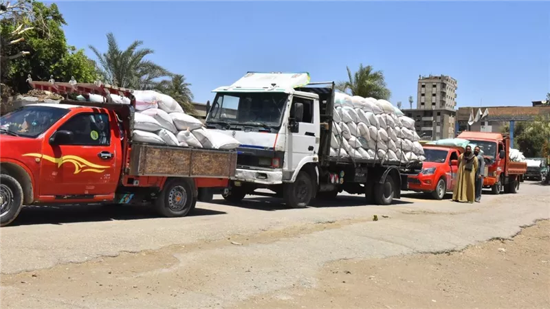محافظ أسيوط : توريد 133 ألف و595 طن قمح محلي إلى الصوامع والشون  