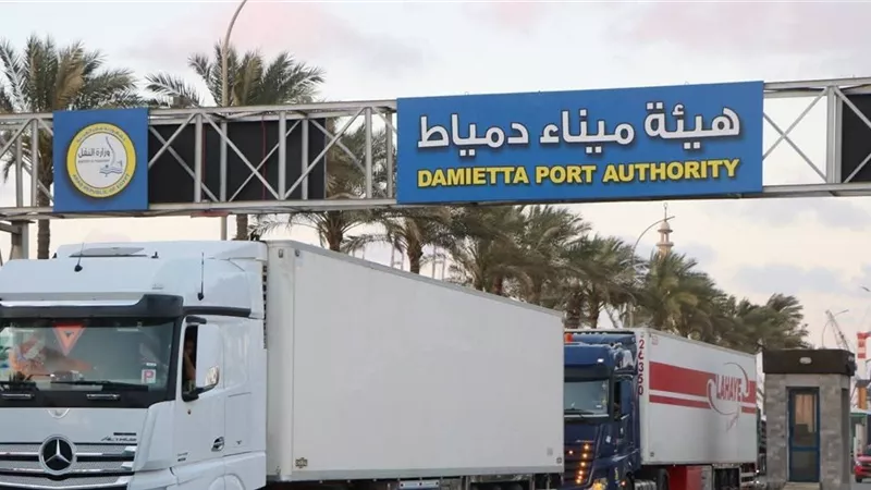 فرصة لطلاب دمياط.. بدء التقديم للتدريب الصيفي بهيئة ميناء دمياط يوليو وأغسطس
